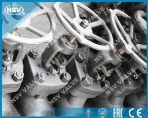 Βαλβίδα σφυρηλατημένης βαλβίδας BB