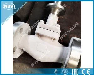 Κρυογονική σφυρήλατη βαλβίδα πύλης