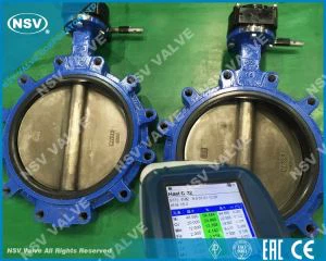 Βαλβίδα πεταλούδας Hastelloy C22