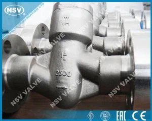 PSB σφυρηλατημένη βαλβίδα ελέγχου