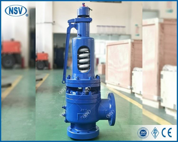 WCB Spring Safety Valve suppliers