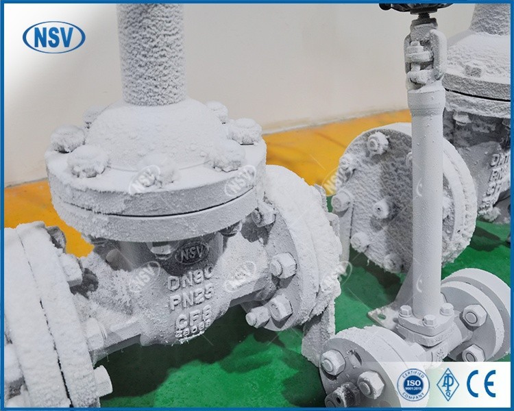 Cryogenic Cast Gate Valve best