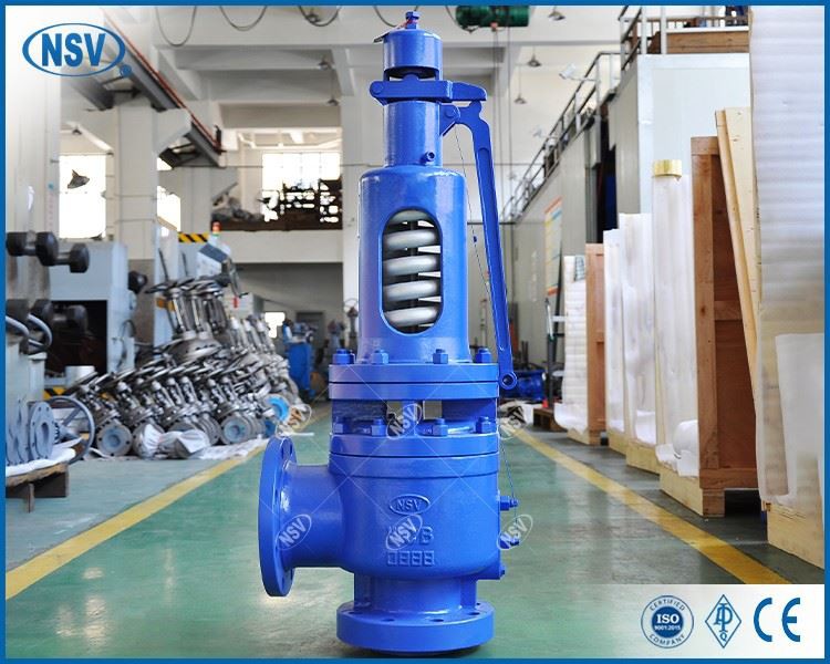 WCB Spring Safety Valve factory