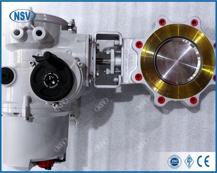 Rotork Electric Double-Eccentric Butterfly Valve best
