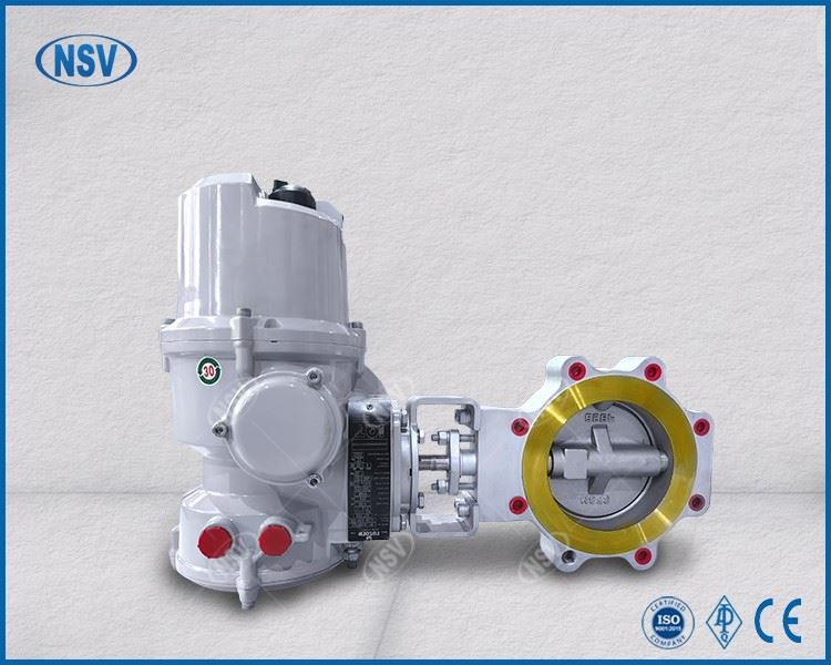 Rotork Electric Double-Eccentric Butterfly Valve