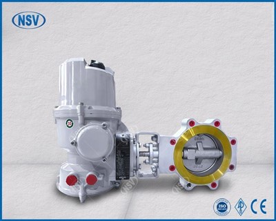 Rotork Electric Double-Eccentric Butterfly Valve